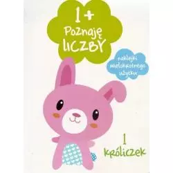 POZNAJĘ LICZBY 1+ - Yoyo Books