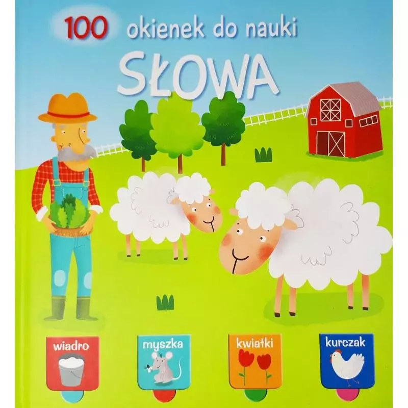 SŁOWA. 100 OKIENEK DO NAUKI - Yoyo Books