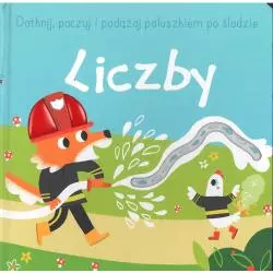 LICZBY. DOTKNIJ, POCZUJ I PODĄŻAJ PALUSZKIEM PO ŚLADZIE - Yoyo Books