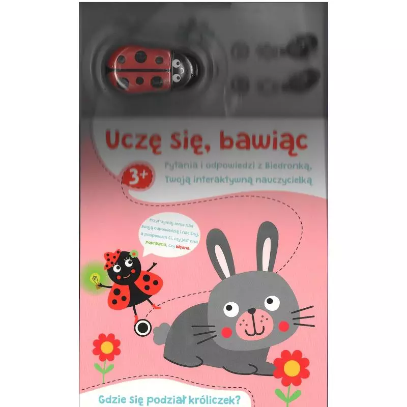 GDZIE SIĘ PODZIAŁ KRÓLICZEK? UCZĘ SIĘ, BAWIĄC. 3+ PYTANIA I ODPOWIEDZI Z BIEDRONKĄ, TWOJĄ INTERAKTYWNĄ NAUCZYCIELK�...