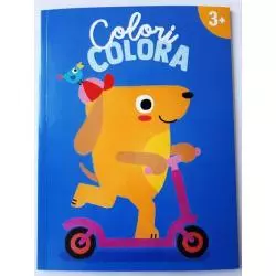 COLORI COLORA. KOLOROWANKA 3+ - Yoyo Books