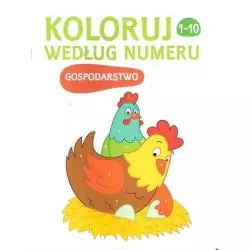 KOLORUJ WEDŁUG NUMERU GOSPODARSTWO 3+