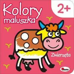 ZWIERZĘTA KOLORY MALUSZKA Piotr Kozera 2+ - AWM