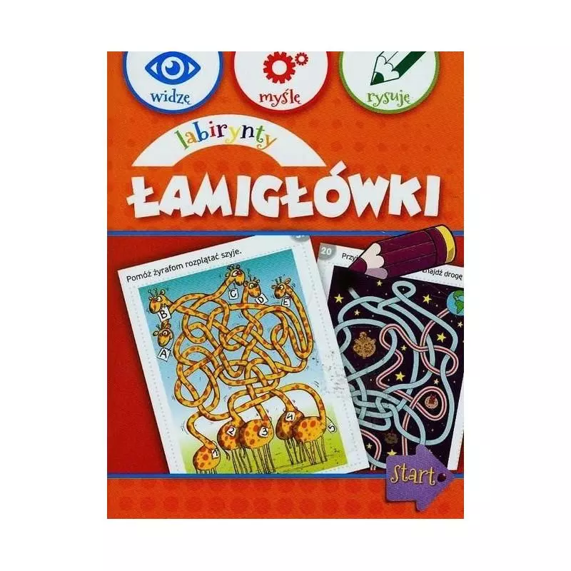 LABIRYNTY I ŁAMIGŁÓWKI 