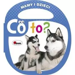 CO TO ? MAMY I DZIECI Piotr Kozera - AWM