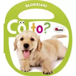 CO TO ? SŁODZIAKI - AWM