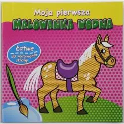 MOJA PIERWSZA MALOWANKA WODNA - Welpol Adventure