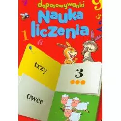 NAUKA LICZENIA DOPASOWYWANKI - Yoyo Books