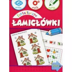 FANTASTYCZNE ŁAMIGŁÓWKI WIDZĘ, MYŚLĘ, RYSUJĘ Anna Wiśniewska - Olesiejuk