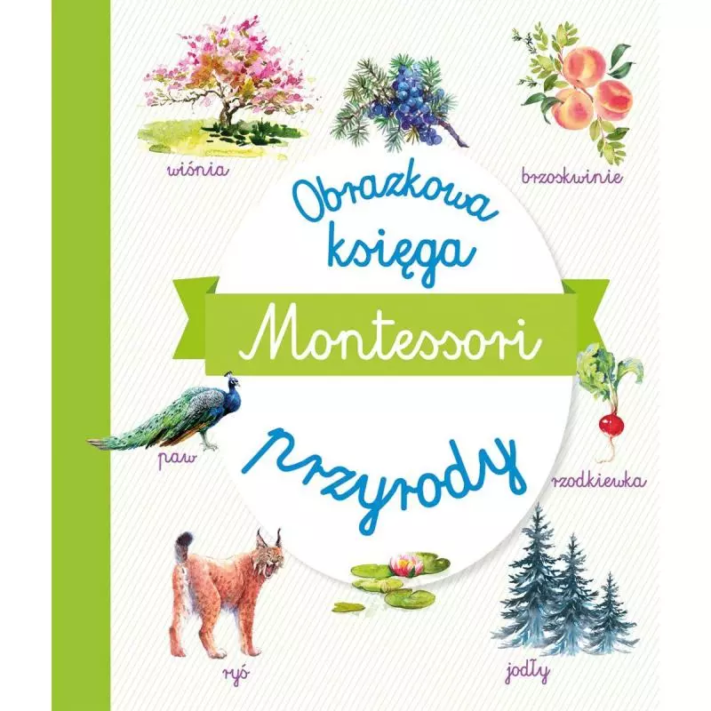 MONTESSORI. OBRAZKOWA KSIĘGA PRZYRODY - Olesiejuk