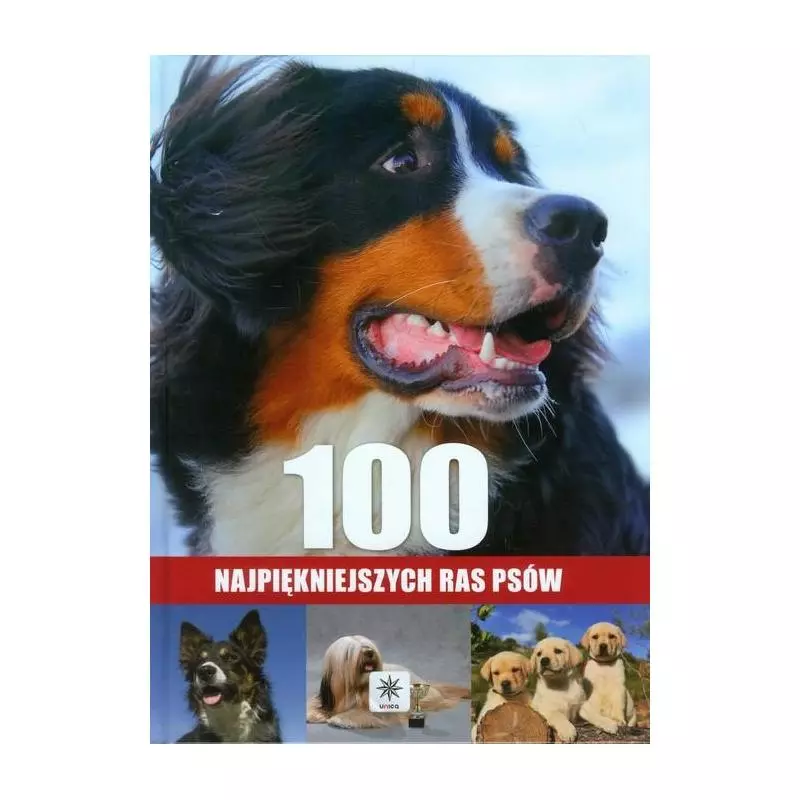 100 NAJPIĘKNIEJSZYCH RAS PSÓW Agnieszka Nojszewska - Dragon