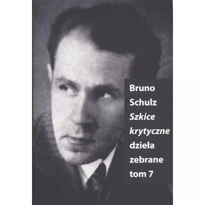 SZKICE KRYTYCZNE Bruno Schulz - Słowo / obraz terytoria