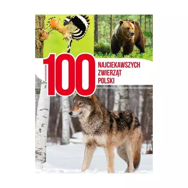 100 NAJCIEKAWSZYCH ZWIERZĄT POLSKI - Dragon