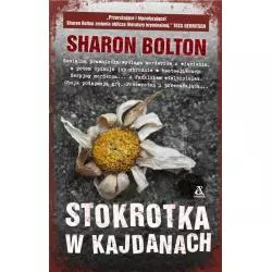 STOKROTKA W KAJDANACH WIELKIE LITERY Sharon Bolton - Amber