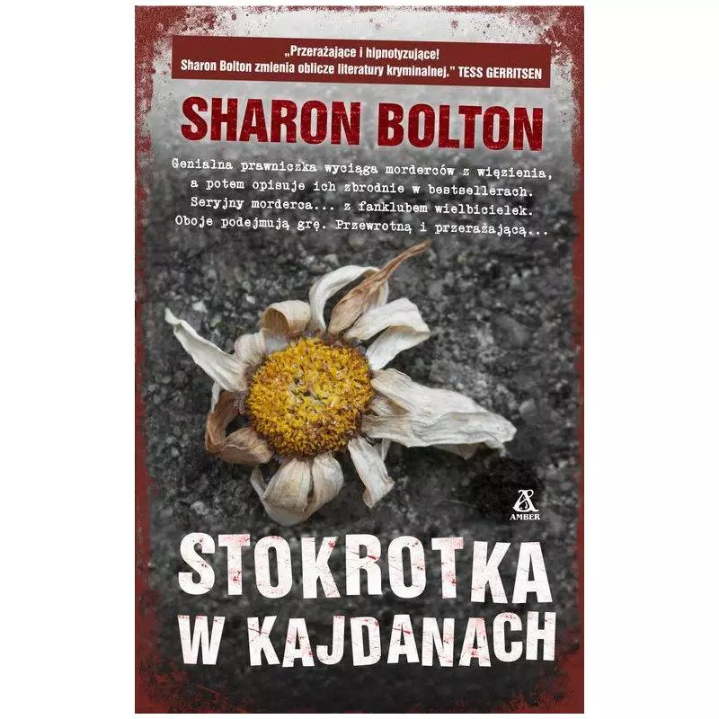 STOKROTKA W KAJDANACH WIELKIE LITERY Sharon Bolton - Amber