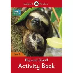 BIG AND SMALL ACTIVITY BOOK LEVEL 2 Catrin Morris - Ladybird