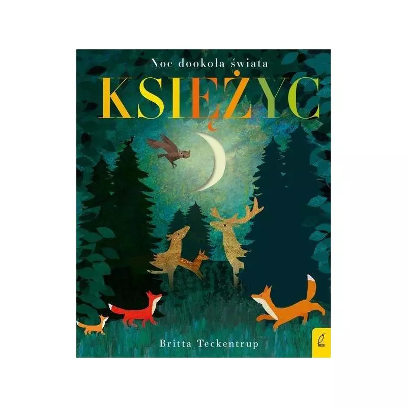 KSIĘŻYC 6+ Patricia Hegarty - Wilga