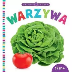 MALUSZEK POZNAJE WARZYWA 12M+ - Wilga