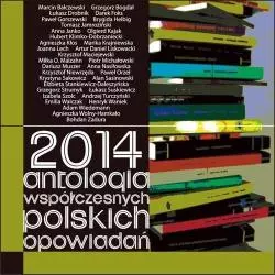 2014 ANTOLOGIA WSPÓŁCZESNYCH POLSKICH OPOWIADAŃ - Forma