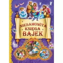 NIESAMOWITA KSIĘGA BAJEK - Arti