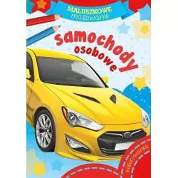 SAMOCHODY OSOBOWE MALUSZKOWE MALOWANIE - Skrzat