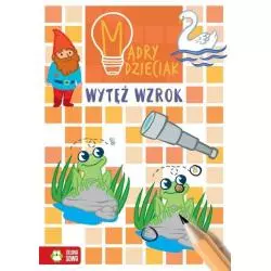 WYTĘŻ WZROK. MĄDRY DZIECIAK 6+ - Zielona Sowa