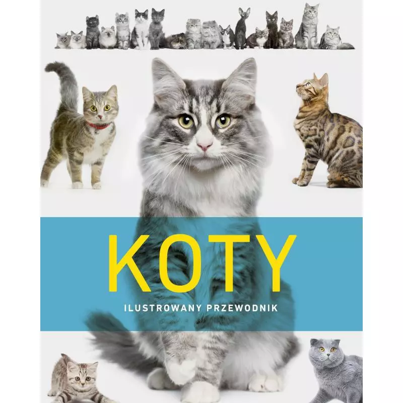 KOTY ILUSTROWANY PRZEWODNIK - Olesiejuk KOTY ILUSTROWANY PRZEWODNIK - Olesiejuk