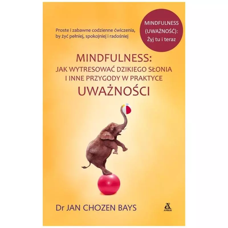 JAK WYTRENOWAĆ DZIKIEGO SŁONIA I INNE PRZYGODY W PRAKTYCE UWAŻNOŚCI Bays Jan Chozen - Amber