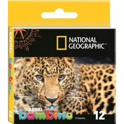 KREDKI ŚWIECOWE BAMBINO 12 KOLORÓW NATIONAL GEOGRAPHIC - St. Majewski