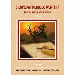 CIERPIENIA MŁODEGO WERTERA JOHANNA WOLFGANGA GOETHEGO STRESZCZENIE. ANALIZA. INTERPRETACJA Karolina Chojnacka - Literat