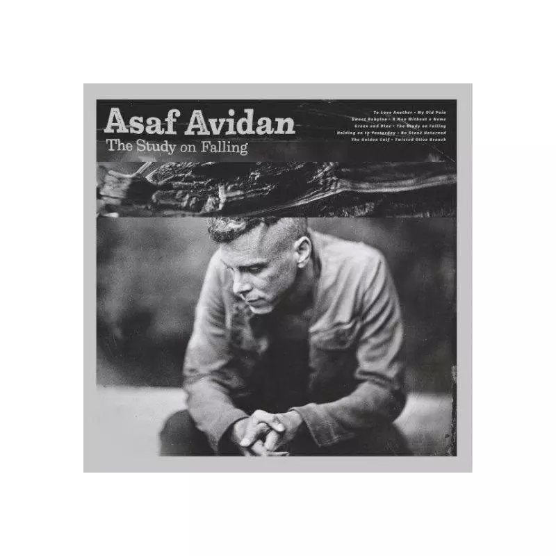 ASAF AVIDAN THE STUDY OF FALLING CD - Universal Music Polska