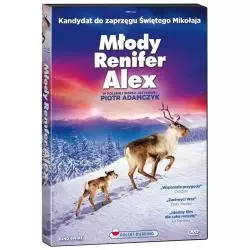MŁODY RENIFER ALEX DVD PL - Kino Świat