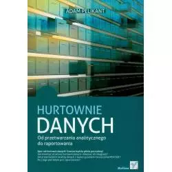 HURTOWNIE DANYCH OD PRZETWARZANIA ANALITYCZNEGO DO RAPORTOWANIA Adam Pelikant - Helion