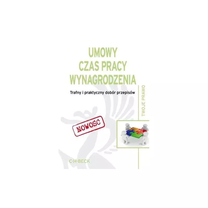 UMOWY CZAS PRACY WYNAGRODZENIE TRAFNY I PRAKTYCZNY DOBÓR PRZEPISÓW Aneta Flisek, Wioletta Żelazowska - C.H.Beck