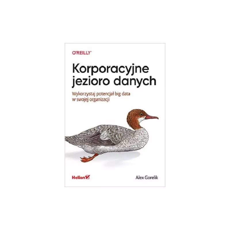 KORPORACYJNE JEZIORO DANYCH WYKORZYSTAJ POTENCJAŁ BIG DATA W SWOJEJ ORGANIZACJI Alex Gorelik - Helion