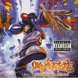 LIMP BIZKIT SIGNIFICANT OTHER CD - Universal Music Polska