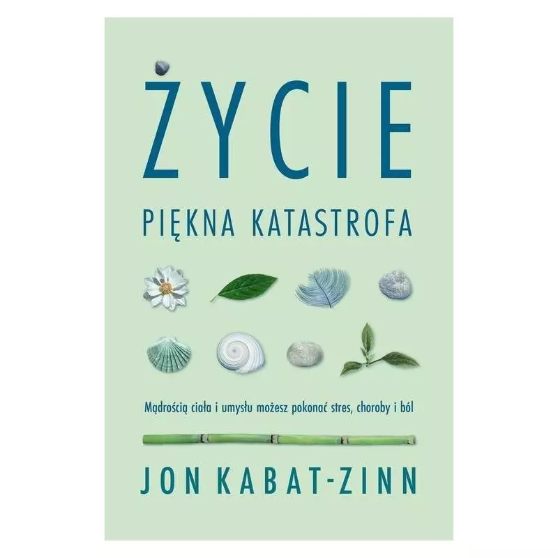 ŻYCIE PIĘKNA KATASTROFA Jon Kabat-Zinn - Czarna Owca