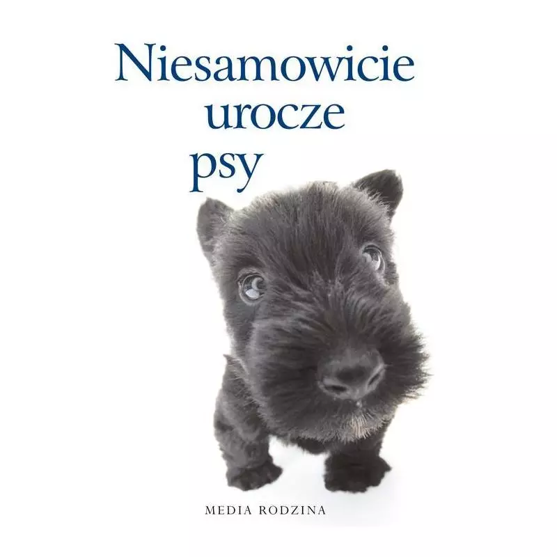 NIESAMOWICIE UROCZE PSY - Media Rodzina