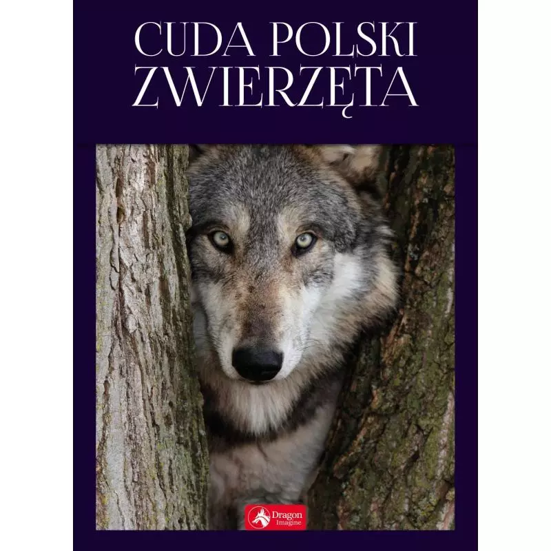 CUDA POLSKI ZWIERZĘTA Łukasz Przybyłowicz - Dragon