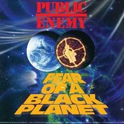 PUBLIC ENEMY FEAR OF A BLACK PLANET WINYL - Universal Music Polska