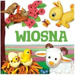 WIOSNA SZTYWNIACZEK - Wilga