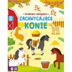 OZDABIAM NAKLEJKAMI ZACHWYCAJĄCE KONIE 4+ Ewelina Protasewicz - Zielona Sowa