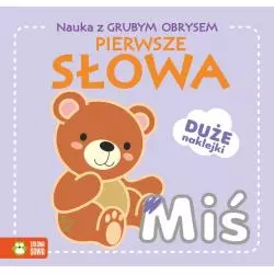 NAUKA Z GRUBYM OBRYSEM PIERWSZE SŁOWA MIŚ 2+ - Zielona Sowa