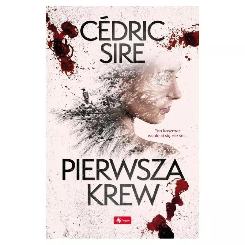 PIERWSZA KREW Cedric Sire - Dragon