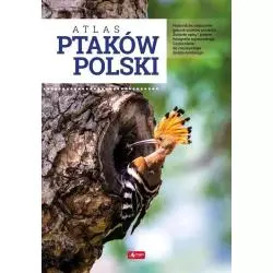 ATLAS PTAKÓW POLSKI Anna Przybyłowicz - Dragon
