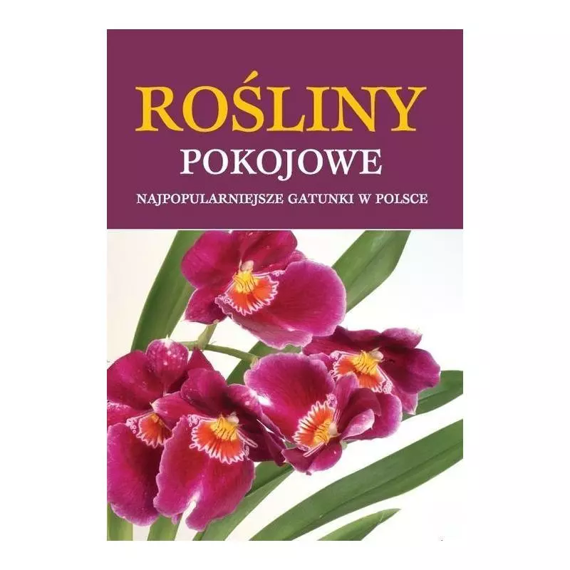 ROŚLINY POKOJOWE NAJPOPULARNIEJSZE GATUNKI W POLSCE - Buchmann