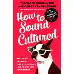 HOW TO SOUND CULTURED - Icon Books