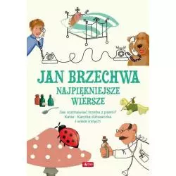 NAJPIĘKNIEJSZE WIERSZE Jan Brzechwa - Dragon