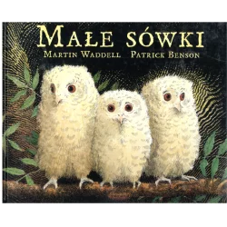 MAŁE SÓWKI Martin Waddell, Patrick Benson - Mamania
