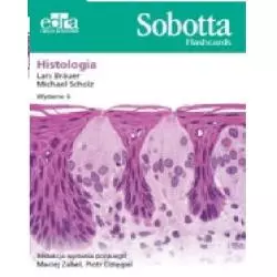 SOBOTTA FLASHCARDS HISTOLOGIA Lars Brauer, Michael Scholz - Edra Urban & Partner